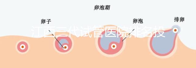 江西三代試管醫(yī)院排名投票截止!附前三位成功率和費用詳解