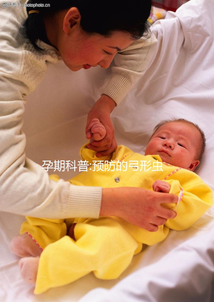 孕期科普:預防的弓形蟲病的5大方法趕緊收藏吧!