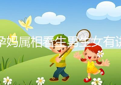 孕媽屬相看生男生女有講究，方法沒找對測試結果有誤差