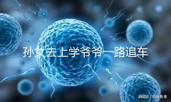 孫女去上學爺爺一路追車告別,網(wǎng)友:上了年紀淚點更低了