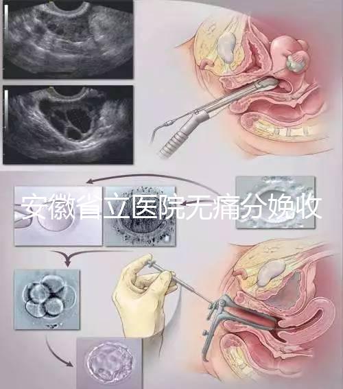 安徽省立醫院無痛分娩收費標準，過來人經歷告訴你怎么樣