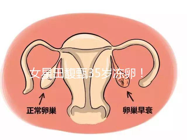 女星田馥甄35歲凍卵！揭秘你不知道的明星凍卵過程