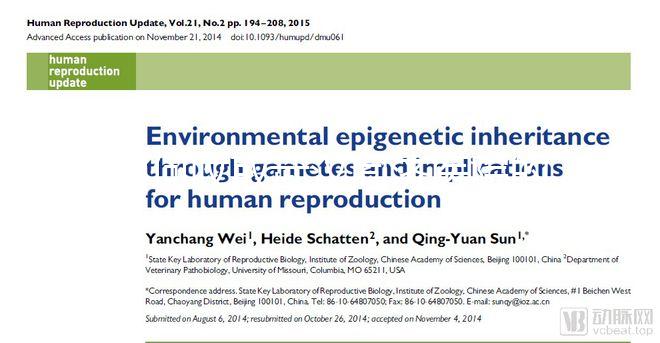 如何收取武漢同濟醫院的養囊費？查看最新試管費用明細估算？