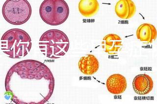 如果你有這些早孕癥狀,那恭喜試管嬰兒成功懷上啦