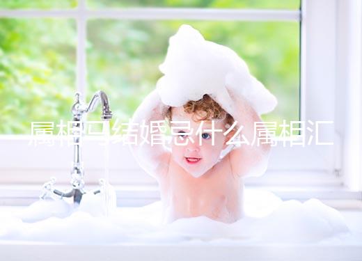 屬相馬結婚忌什么屬相匯總,2023和鼠、牛真相克請三思