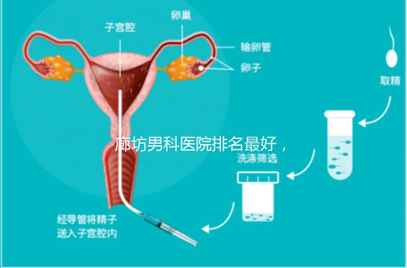 廊坊男科醫院排名最好，醫院出爐！廣陽這些機構可以排隊