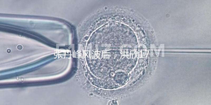 張丹峰風波后，洪欣17歲兒子表白媽媽一家人疑似和好如初