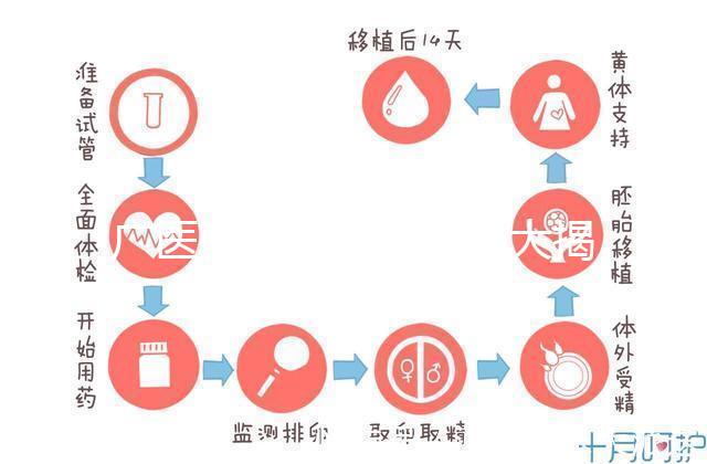 廣醫三院取精多少錢大揭秘，一萬都包括什么速看