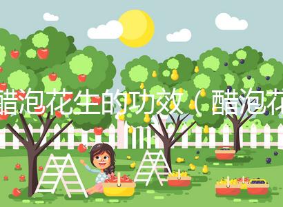 醋泡花生的功效(醋泡花生的功效與作用)