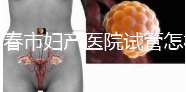 長(zhǎng)春市婦產(chǎn)醫(yī)院試管怎樣問題解答，助孕成功率、費(fèi)用可作參考