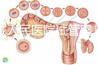 聊城人民醫(yī)院試管嬰兒成功率怎么樣，3大助孕案例告訴你答案