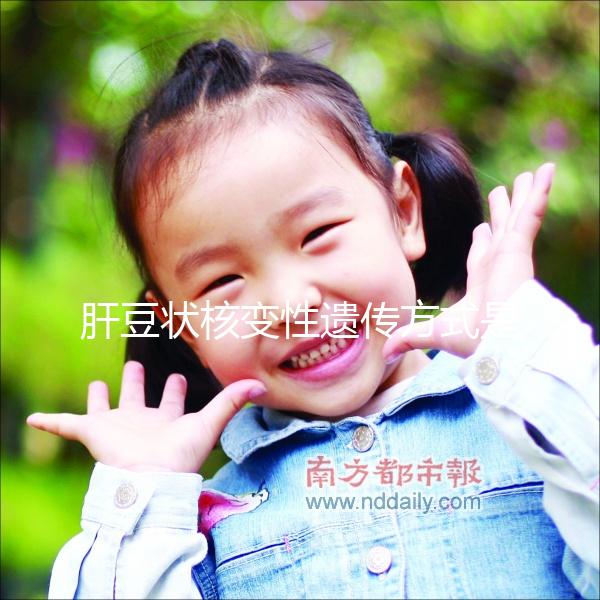 肝豆狀核變性遺傳方式是什么?做三代試管PGD能避免嗎