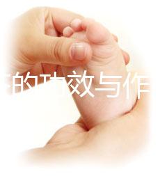 苦丁茶的功效與作用（苦丁茶的功效與作用是什么）