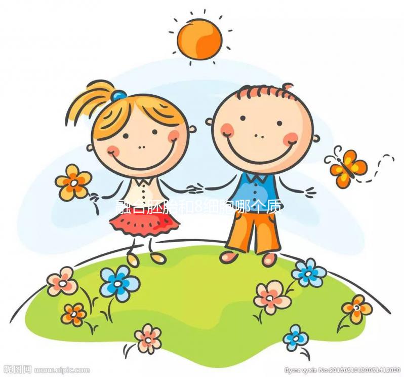 融合胚胎和8細胞哪個質量好大揭秘，二者區別看完就懂