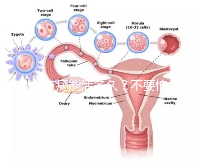 血友病能活多久？不要怕!注意這些同常人無異