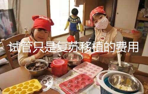 試管只是復(fù)蘇移植的費(fèi)用并不高，看這就知道大概多少錢