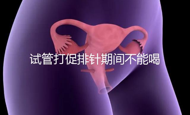 試管打促排針期間不能喝酵素減肥?把控好時間就行