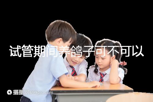 試管期間養(yǎng)鴿子可不可以大揭秘，影響抵抗力千萬注意