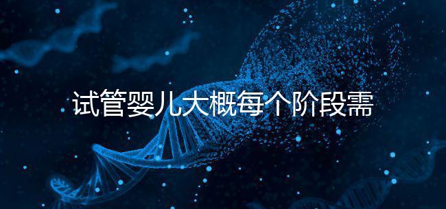試管嬰兒大概每個(gè)階段需要花到多少錢(qián)呢？