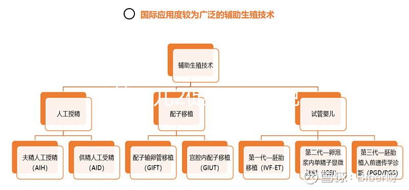 試管嬰兒2促3移，說說5點我的成功懷孕經驗