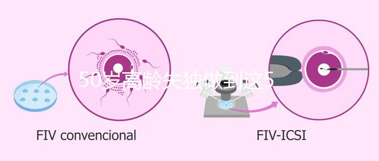 50歲高齡失獨做到這5點，自然受孕率幾率也能很高！