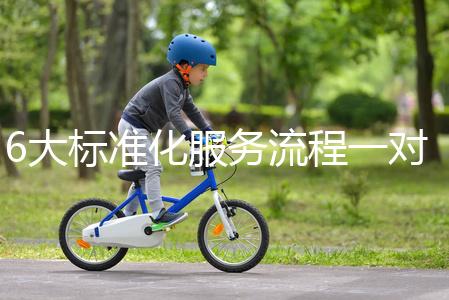 6大標準化服務流程一對一貼心服務，全程中文陪同