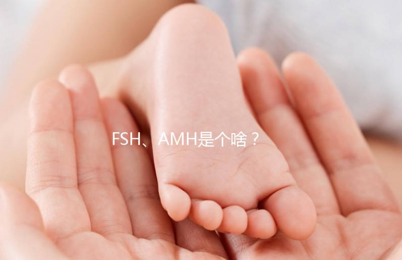 FSH、AMH是個啥？卵巢功能好不好看這些指標(biāo)！