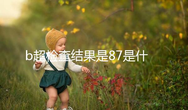 b超檢查結果是87是什么意思，不同醫院結果并不相同