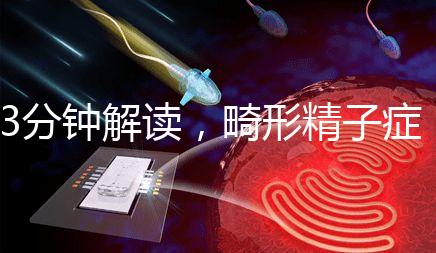 3分鐘解讀，畸形精子癥是什么病異常精子跟它的區別