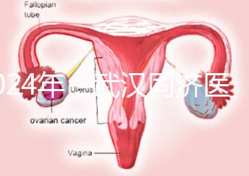 2024年，武漢同濟醫院不孕癥醫生排名公布，選擇專家迅速登記