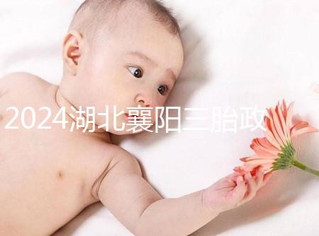 2024湖北襄陽(yáng)三胎政策最新消息速覽,國(guó)家獎(jiǎng)勵(lì)1萬(wàn)購(gòu)房補(bǔ)貼