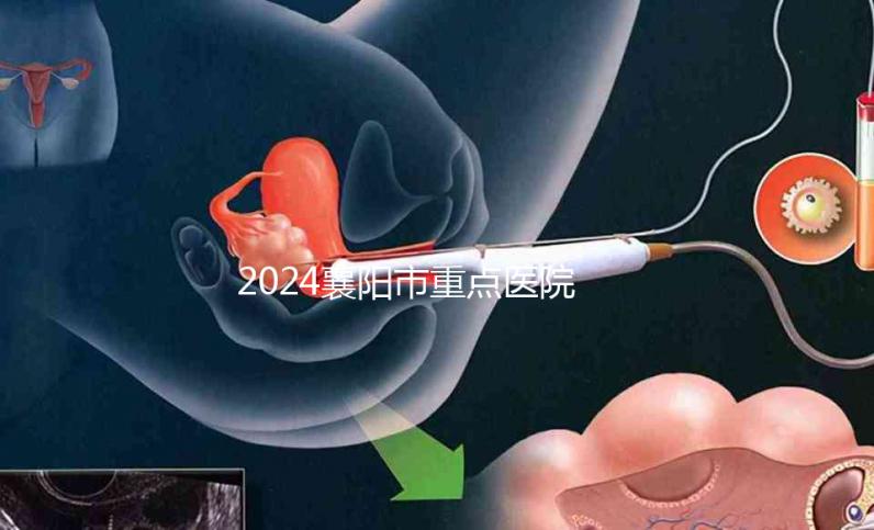 2024襄陽(yáng)市重點(diǎn)醫(yī)院試管嬰兒費(fèi)用明細(xì)，各項(xiàng)收費(fèi)標(biāo)準(zhǔn)已列出