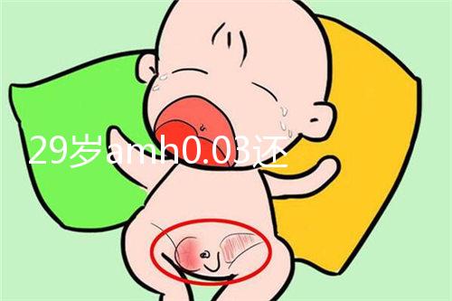 29歲amh0.03還能做試管嬰兒嗎？能否取到卵是懷孕關鍵